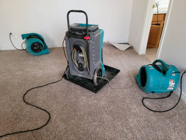 Best Commercial water damage restoration  in Quanah, TX