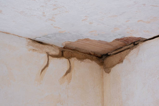 Best Water damage restoration experts  in Quanah, TX