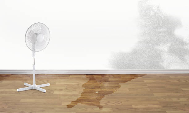Best Fire Damage Restoration  in Quanah, TX