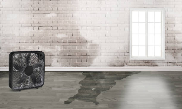 Best Residential water damage restoration  in Quanah, TX
