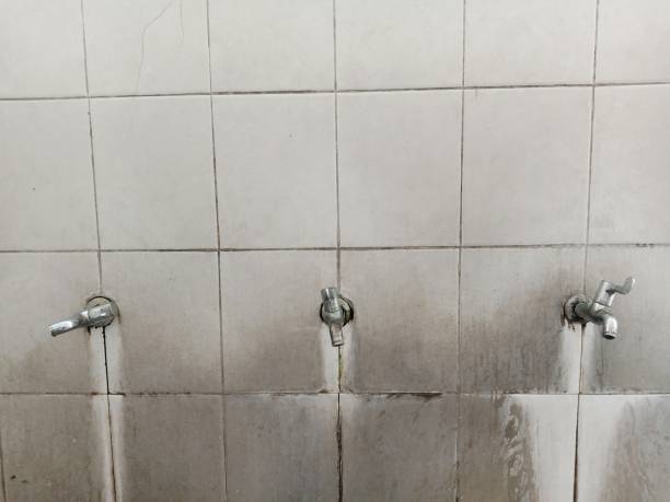 Best Water damage cleanup near me  in Quanah, TX