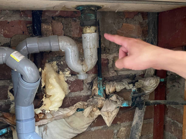 Best Mold removal after water damage  in Quanah, TX