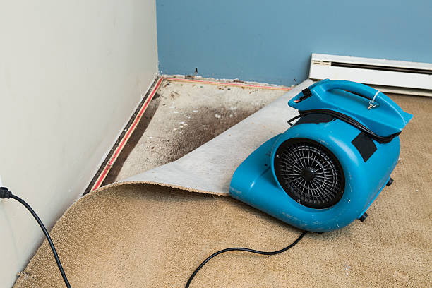 Best Carpet water damage restoration  in Quanah, TX